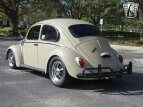 Thumbnail Photo 5 for 1966 Volkswagen Beetle
